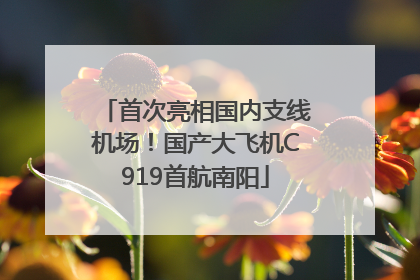 首次亮相国内支线机场！国产大飞机C919首航南阳
