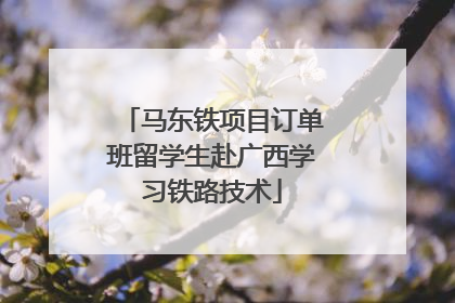 马东铁项目订单班留学生赴广西学习铁路技术
