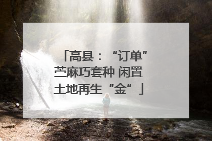 高县：“订单”苎麻巧套种 闲置土地再生“金”