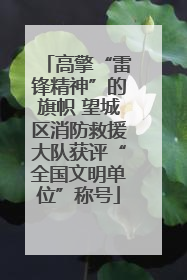高擎“雷锋精神”的旗帜 望城区消防救援大队获评“全国文明单位”称号