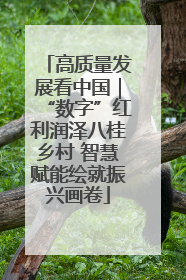 高质量发展看中国｜“数字”红利润泽八桂乡村 智慧赋能绘就振兴画卷