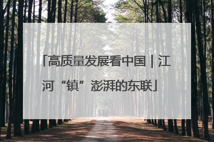 高质量发展看中国｜江河“镇”澎湃的东联
