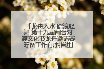 龙舟入水 踏浪轻舞 第十九届闽台对渡文化节龙舟邀请赛筹备工作有序推进
