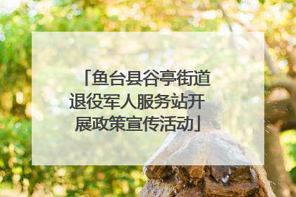 鱼台县谷亭街道退役军人服务站开展政策宣传活动