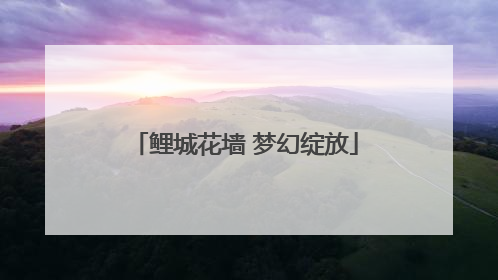 鲤城花墙 梦幻绽放