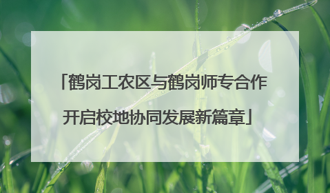 鹤岗工农区与鹤岗师专合作 开启校地协同发展新篇章