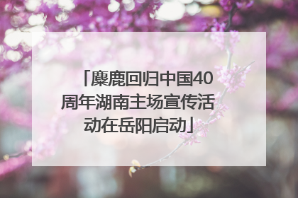麋鹿回归中国40周年湖南主场宣传活动在岳阳启动
