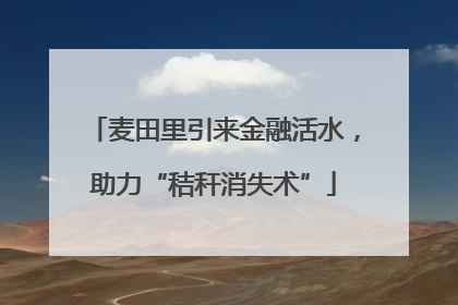 麦田里引来金融活水，助力“秸秆消失术”