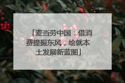 麦当劳中国：借消费提振东风，绘就本土发展新蓝图