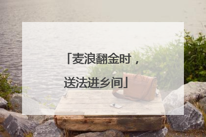 麦浪翻金时，送法进乡间