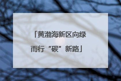 黄渤海新区向绿而行“碳”新路