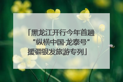 黑龙江开行今年首趟“纵横中国·龙泰号”援疆银发旅游专列