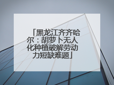 黑龙江齐齐哈尔：胡萝卜无人化种植破解劳动力短缺难题