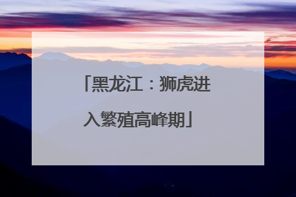黑龙江：狮虎进入繁殖高峰期