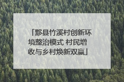 黟县竹溪村创新环境整治模式 村民增收与乡村焕新双赢