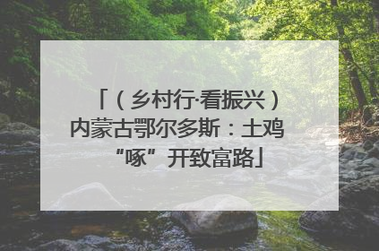 （乡村行·看振兴）内蒙古鄂尔多斯：土鸡“啄”开致富路