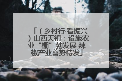 （乡村行·看振兴）山西天镇：设施农业“棚”勃发展 辣椒产业蓄势待发