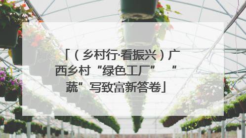 （乡村行·看振兴）广西乡村“绿色工厂” “蔬”写致富新答卷