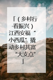 （乡村行·看振兴）江西安福“小西瓜”撬动乡村共富“大支点”