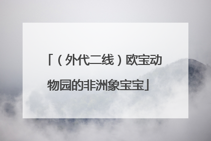（外代二线）欧宝动物园的非洲象宝宝