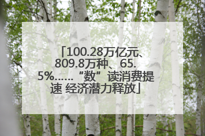 100.28万亿元、809.8万种、65.5%……“数”读消费提速 经济潜力释放