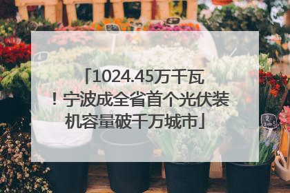 1024.45万千瓦！宁波成全省首个光伏装机容量破千万城市