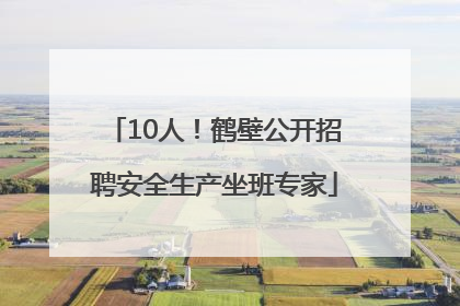 10人！鹤壁公开招聘安全生产坐班专家