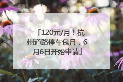 120元/月！杭州道路停车包月，6月6日开始申请