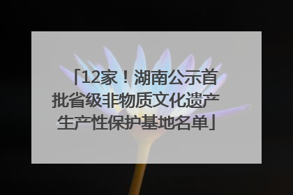12家！湖南公示首批省级非物质文化遗产生产性保护基地名单