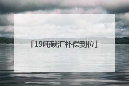 19吨碳汇补偿到位