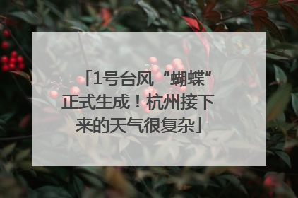 1号台风“蝴蝶”正式生成！杭州接下来的天气很复杂