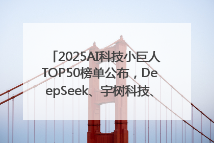 2025AI科技小巨人TOP50榜单公布，DeepSeek、宇树科技、蘑菇车联等企业荣誉上榜