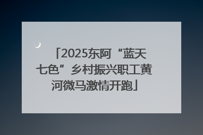 2025东阿“蓝天七色”乡村振兴职工黄河微马激情开跑