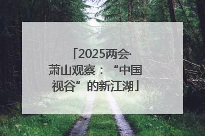 2025两会·萧山观察：“中国视谷”的新江湖