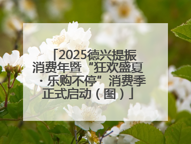 2025德兴提振消费年暨“狂欢盛夏・乐购不停”消费季正式启动（图）
