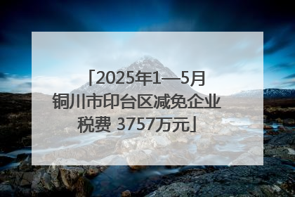 2025年1—5月铜川市印台区减免企业税费 3757万元