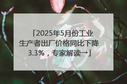 2025年5月份工业生产者出厂价格同比下降3.3%，专家解读→