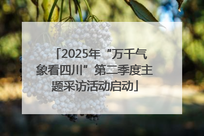 2025年“万千气象看四川”第二季度主题采访活动启动