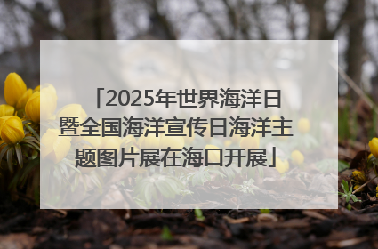 2025年世界海洋日暨全国海洋宣传日海洋主题图片展在海口开展