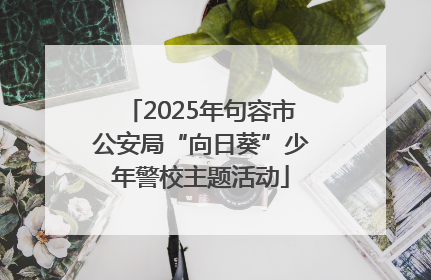 2025年句容市公安局“向日葵”少年警校主题活动