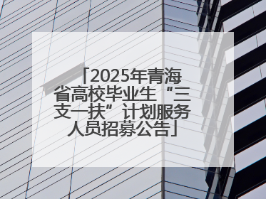 2025年青海省高校毕业生“三支一扶”计划服务人员招募公告
