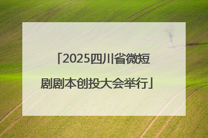 2025四川省微短剧剧本创投大会举行