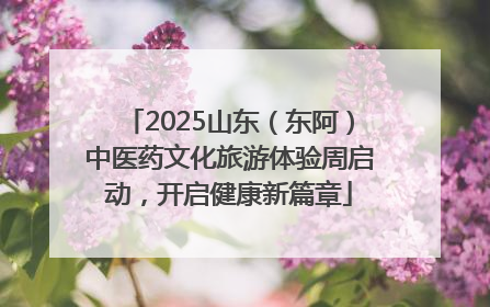 2025山东（东阿）中医药文化旅游体验周启动，开启健康新篇章
