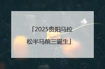 2025贵阳马拉松半马前三诞生