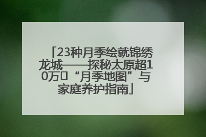 23种月季绘就锦绣龙城——探秘太原超10万㎡“月季地图”与家庭养护指南