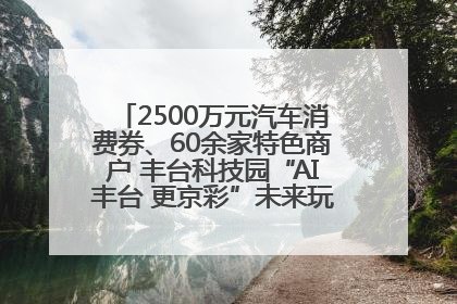 2500万元汽车消费券、60余家特色商户 丰台科技园“AI丰台 更京彩”未来玩家市集活动正式开幕