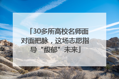 30多所高校名师面对面把脉，这场志愿指导“馥郁”未来