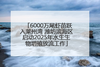6000万尾虾苗跃入莱州湾 潍坊滨海区启动2025年水生生物增殖放流工作