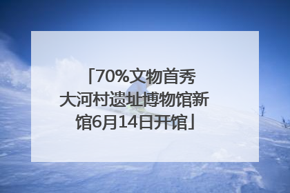 70%文物首秀 大河村遗址博物馆新馆6月14日开馆