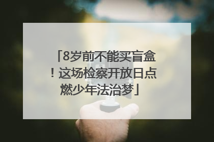8岁前不能买盲盒！这场检察开放日点燃少年法治梦